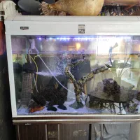 آکواریوم شیشه خم شرکتی ماهیران همراه با کمد