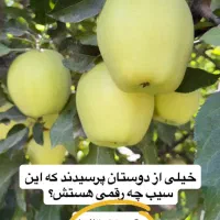 فروش ویژه نهال سیب رز ایتالیا