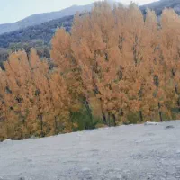 مشارکت در ساخت