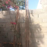 نبشی