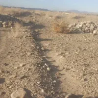 زمین فروشی|فروش زمین و ملک کلنگی|دامن, |دیوار