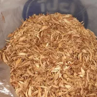 گل خشک نارنج