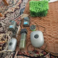 وسایل اکواریم|ماهی|همدان, |دیوار