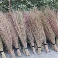 جارو|جاروبرقی، جارو شارژی، بخارشو|هرسین, |دیوار