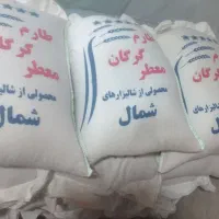 برنج طارم گرگان