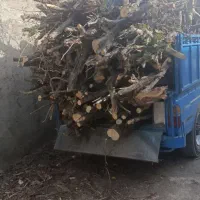 برشه جوب با مجوز قانونی انجام می‌گردد ۲۴ ساعت