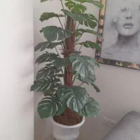 درختچه مصنوعی لمسی بسیار زیبا