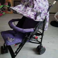 کالسکه عصایی