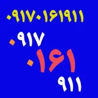 0917-0-161-911