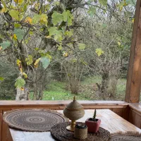 اجاره اقامتگاه جنگلی نوساز|اجارهٔ کوتاهمدت ویلا و باغ|ماسال, |دیوار