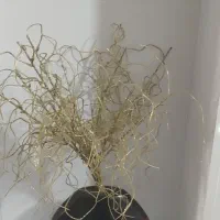 وسایل دکوری|مجسمه، تندیس، ماکت|خرم‌آباد, |دیوار