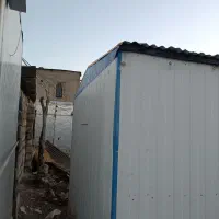 درخت کانکس|مصالح و تجهیزات ساختمان|جوانرود, |دیوار