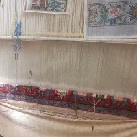دارقالی|فرش|قرچک, فردیس|دیوار