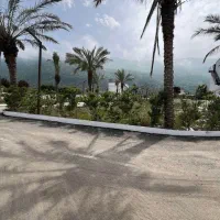 ویو دریا و جنگل از روی زمین/350متر شهرکی نشتارود