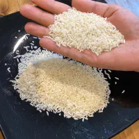 برنج هاشمی درجه یک