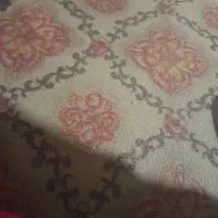 زمین فرهنگ ۳دوقواره سندتک برگ