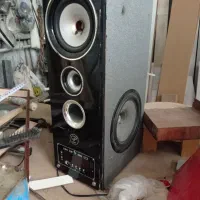 ضبط و باند خانگی