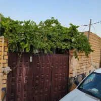 خانه-ویلایی-در-باغدشت