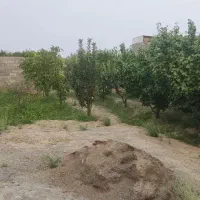 فروش باغ وایقان شبستر جاده گاز شرفتین|فروش خانه و ویلا|شبستر, |دیوار