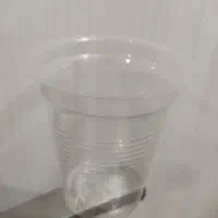 لیوان یکبار مصرف شیشه ای ۵۰۰عددی دوگرمی|ظروف نگهدارنده، پلاستیکی، یکبارمصرف|تهران, کوهک|دیوار