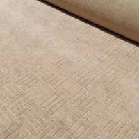 پالاز موکت ،موکت معمولی ،کارکرده|موکت|تهران, خواجه نصیر طوسی|دیوار