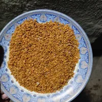 خلفا محلی دیلمان