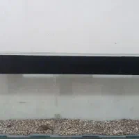 اکواریوم|ماهی|ششطراز, |دیوار