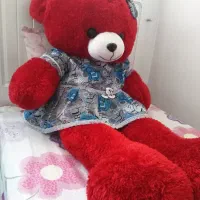 خرس بزرگ یک متری