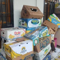 ۲۵عدد کارتن موز محکم برای اثاث کشی|ابزارآلات|کلارآباد, |دیوار