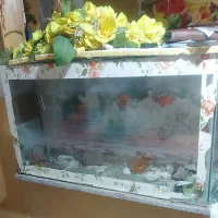 آکواریوم