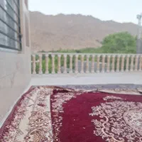 سرایدار