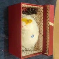 عروسک|اسباب‌بازی بچه|کرمان, |دیوار