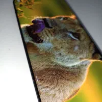 Xiaomi Redmi Note 14 Pro 5G 512GB 12GB|موبایل|قدس, شهرقدس|دیوار