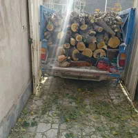 قطع کردن درخت برش درخت خرید درخت خریدچوب کندن درخت|خدمات باغبانی و درختکاری|مشهد, توس (بلوار توس)|دیوار