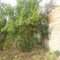 زمین-مسکونی-در-جلین