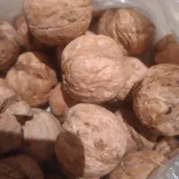 گردو خوب و پر چرب