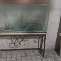 آکواریوم