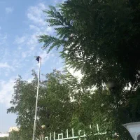 شمال بلوار کشاورز ۱۷۵ متر تکواحد ۳ خوابه