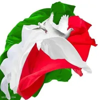 عینک پیدا شده