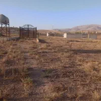 زمین باغی سمت کورانه روبروی زمین‌های شیپور|فروش زمین و ملک کلنگی|قزوین, |دیوار