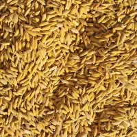 چلتوک سراسیاب یوسفی