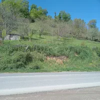 زمین باغ مسا حت 2500 متر|فروش زمین و ملک کلنگی|کیاسر, |دیوار