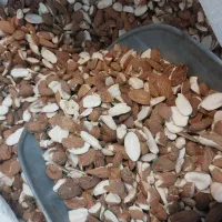 مغز بادام لپه|خوردنی و آشامیدنی|سبزوار, هفت تیر|دیوار