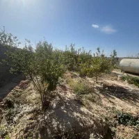 فروش باغ پونصد متری