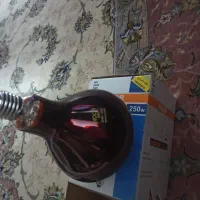 لامپ مادون قرمز ۲۵۰ وات
