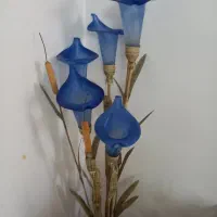 آباژور زیبا وسالم