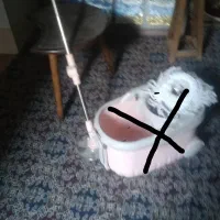 به علت جابه جایی قیمت توافقی وسایل منزل