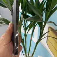 iphone 12 promax 256 g black