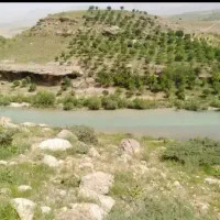 مجتمع تفریحی و گردشگری