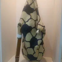 نی همبون|سازهای بادی|دوگنبدان, |دیوار